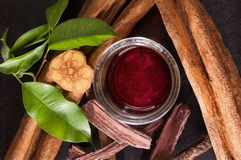 Ayahuasca / How Ayahuasca Service Is Beneficial For Health? : In an ...
