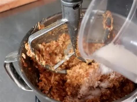 Encapsulated Citric Acid: The Secret to Perfect Sausage Making ...