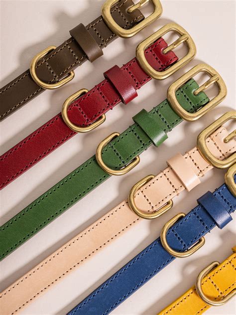 Dog Collars | Stylish, Durable, & Customisable Options – The Stately Hound