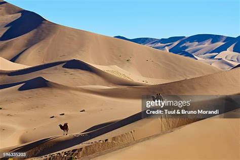 12,990 Gobi Desert Stock Photos, High-Res Pictures, and Images - Getty ...