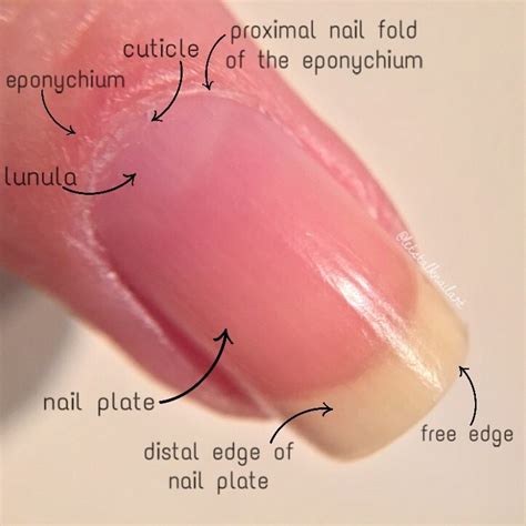 nail care lets talk nail art