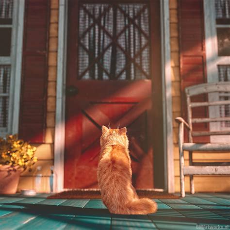 Meow? Does anyone open? 3D Render, Digital Art by GMArtworks