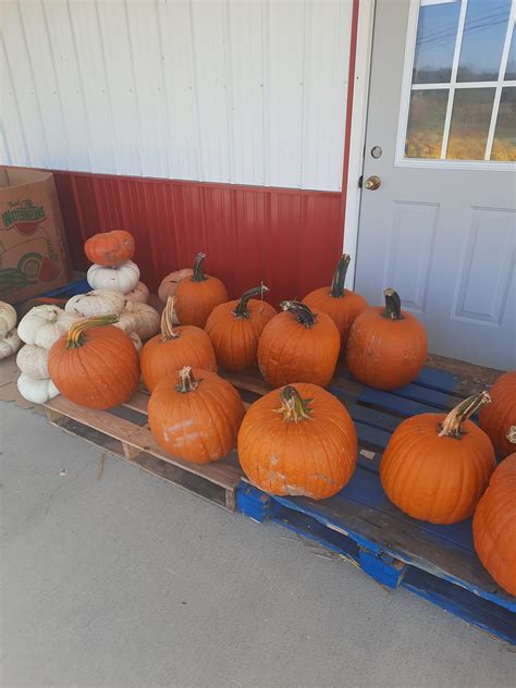 Pennington Farm & Garden Center | Liberty KY