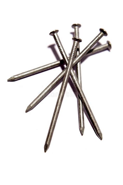 clous photo stock image du clou clous materiel acier