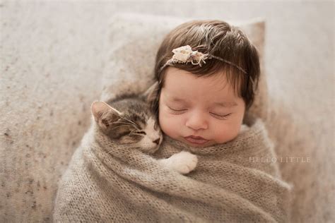 Viral Video: Kitten and Newborn Create Sensation