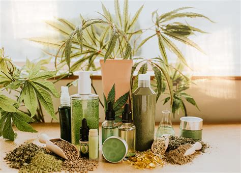 What Is CBD? A Guide to CBD, What It's Used For, and More | The Healthy