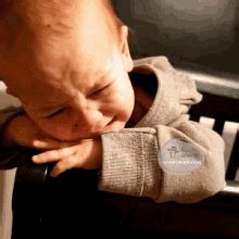 Bumby Wool GIF - Bumby Wool Cry - Discover & Share GIFs