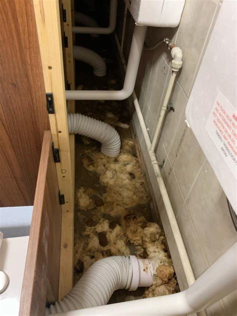 sewage cleaning service emergency cleaning  service