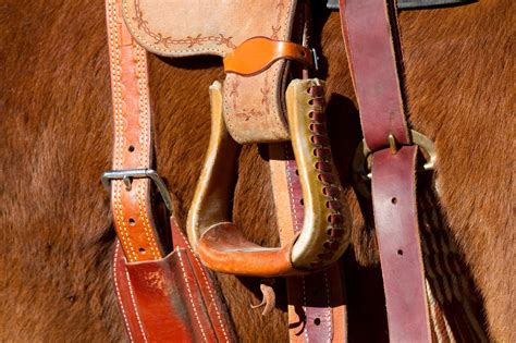 7 Best Stirrups for Trail Riding in All-Day Comfort - Horse Rookie