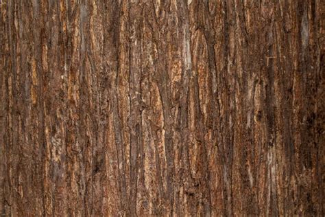 Wood Skin Texture Images – Browse 77,509 Stock Photos, Vectors, and Video | Adobe Stock