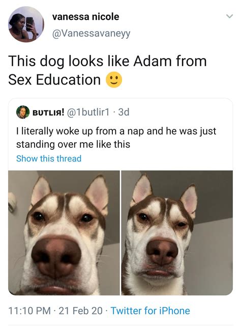 Dog Adam Groff : r/NetflixSexEducation