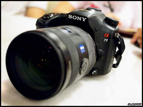 Sony Alpha 77, a Close Encounter ~ ROBIN WONG