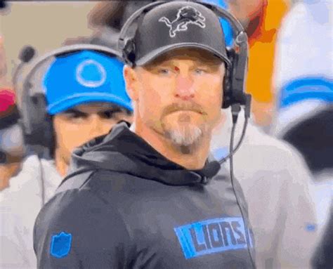 lions detroit lions gif lions detroit lions detroit discover