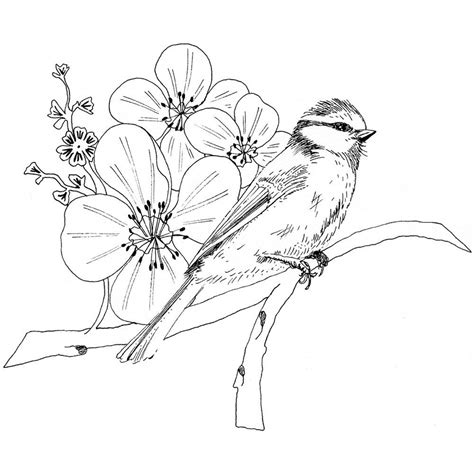 Spring Coloring Pages, Free Adult Coloring Pages, Coloring Book Pages ...