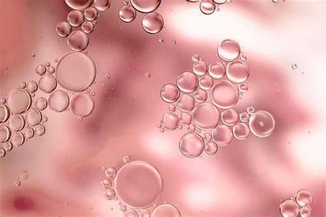 What are liposomal supplements and how do they work? - Meraki Botanicals
