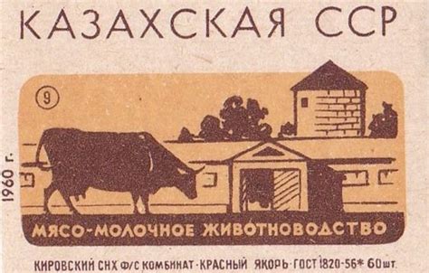 Казахская ССР - история, экономика, культура
