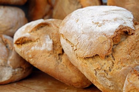 Begging for bread – Fountain's Thoughts