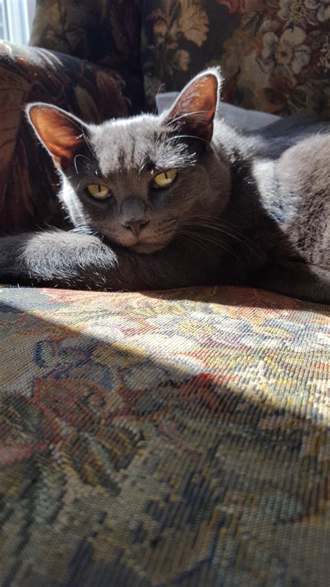 Moose is always the best model : r/HotPussy_SFW