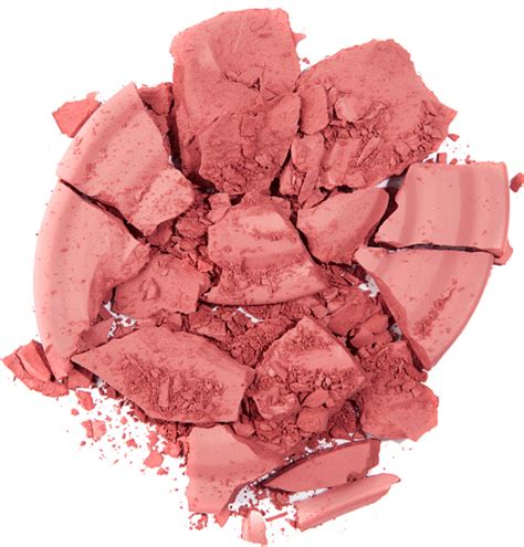 Румяна TopFace Instyle Blush On 010 Matte 10 г (8681217230514) – купить ...