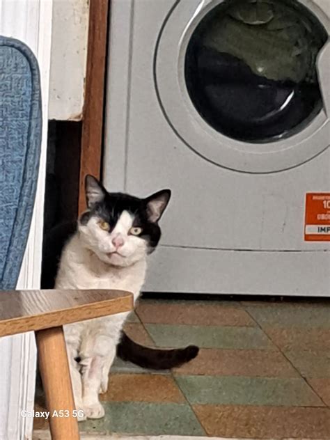 Definitely getting braver. I know his special hiding place now. He