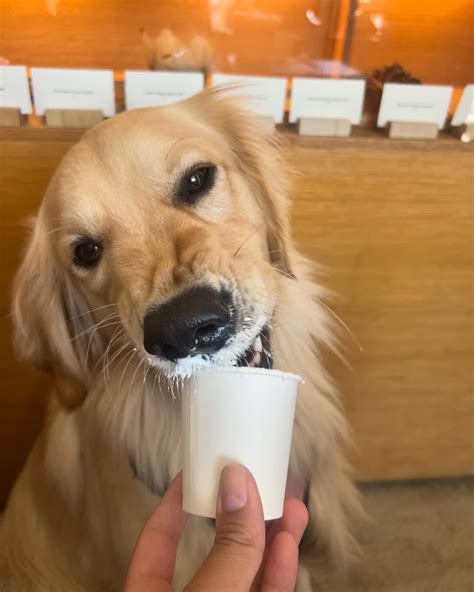 iman “izzy” ramzan | yo. some of my favorite things rn. | Instagram