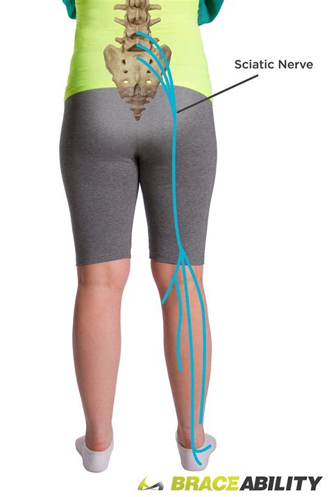 Pregnancy back pain – Artofit