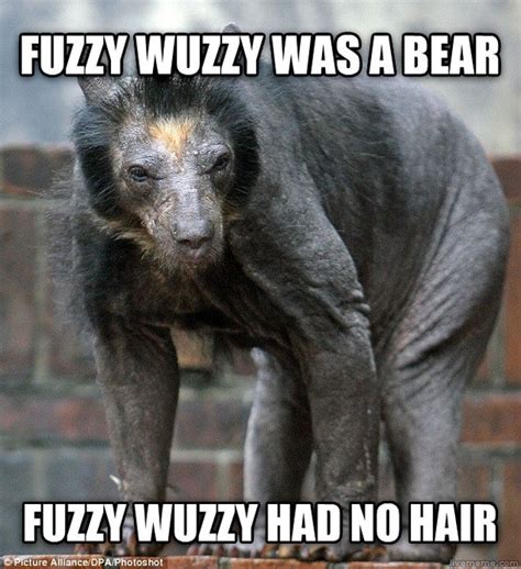 Not quite how I imagined Fuzzy Wuzzy - Meme Guy