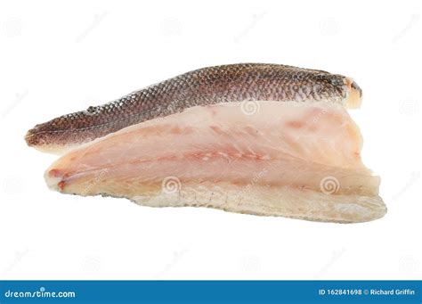 Sea bass fillets stock photo. Image of uncooked, food - 162841698