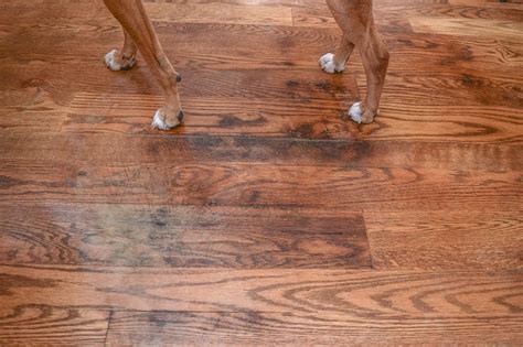 how to get stains out of hardwood floors