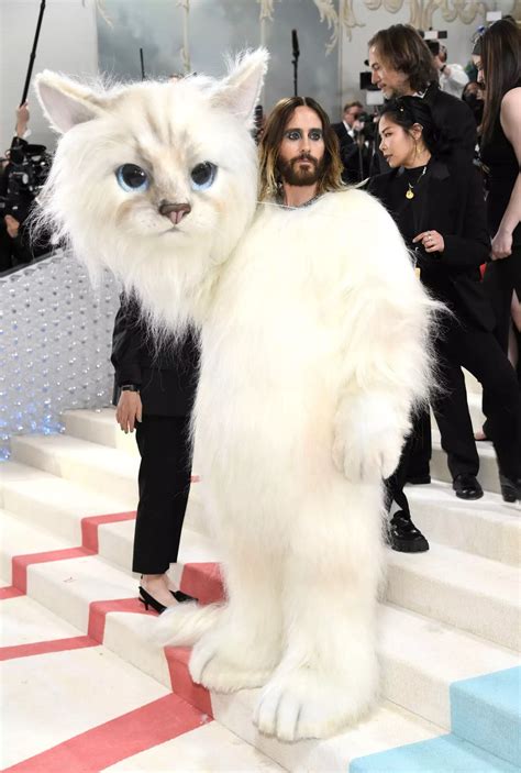 Jared Leto gives Doja Cat run for her money with bizarre cat costume at ...