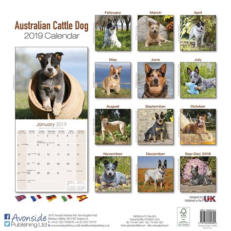 Australian Cattle Dog Calendar 2019 | Pet Prints Inc.