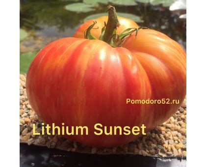 Томат Литиевый закат (Lithium Sunset) 10шт