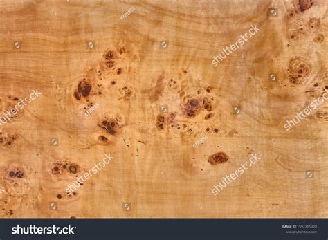 3,538 Wood Briar Images, Stock Photos, 3D objects, & Vectors | Shutterstock