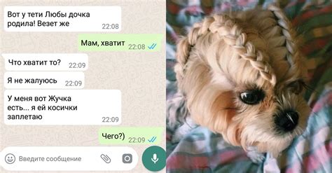 Дюжина смешных смс-диалогов