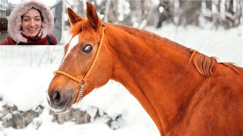 Мои любимые подружки, мои красивые лошадки. Лошадки тоже ласку любят ...
