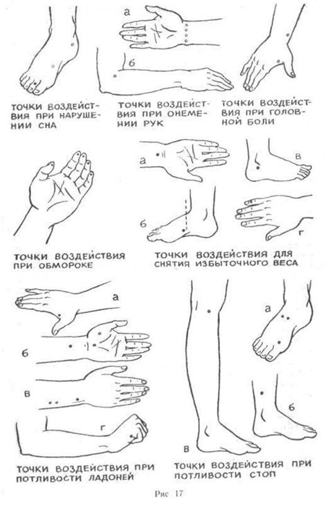 Новые материалы от 08 ноября | Body massage techniques, Massage ...