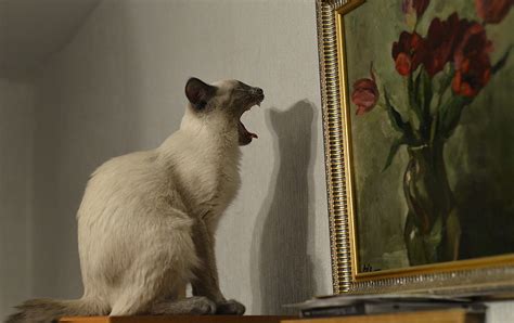 Любовь к искусству: azzazzin72 — LiveJournal