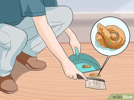 how to prevent whipworms in dogs