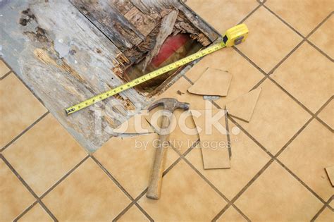 Tile Repair Iii Stock Photo | Royalty-Free | FreeImages