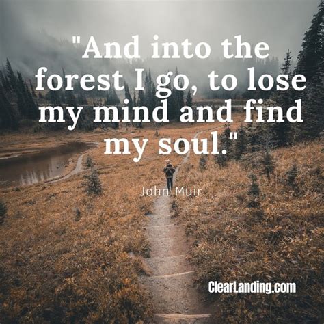 Into the forest I go nature meme by John Muir | Memes, Nature, John muir