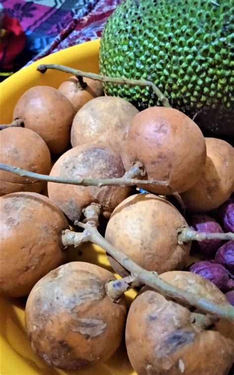 sebutkan nama nama buah khas kalimantan halaman  kompasianacom