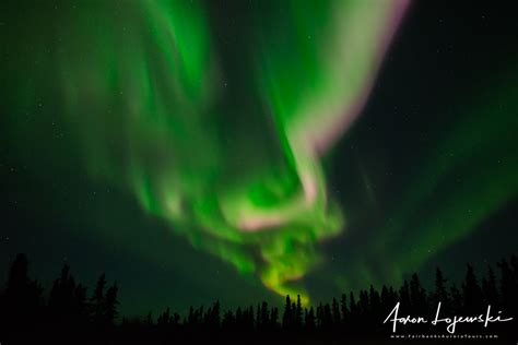 tours - Fairbanks Aurora Tours - Northern Lights Tours in Alaska