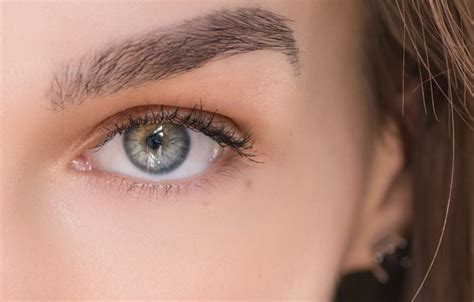 wallpaper eye  eyebrows images  desktop section makro