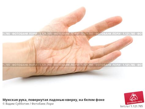 Мужская рука, повернутая ладонью кверху, на белом фоне. Стоковое фото ...