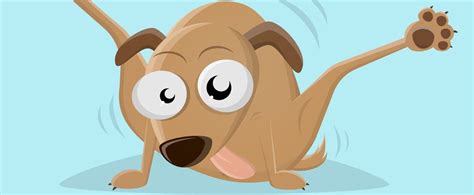 Why Is My Dog Licking His Butt? Causes and Solutions - Hunter Games Magazine