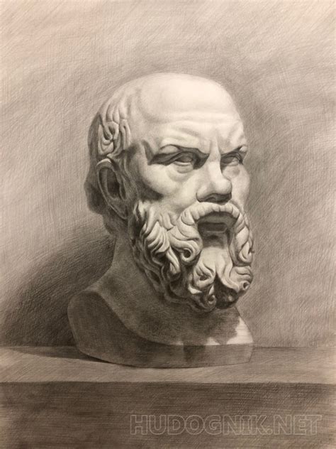 Картина Рисунок гипсовой головы. Сократ. Размеры: 55x75, Год: 2019 ...