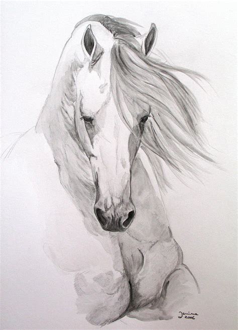 Black And White Horse Sketches at PaintingValley.com | Explore ...