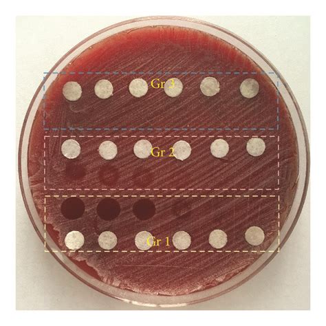 bactericidal effect    irradiation time  min
