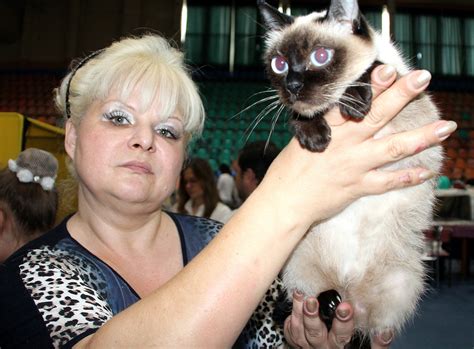 Кошка скиф тай дон - 77 фото
