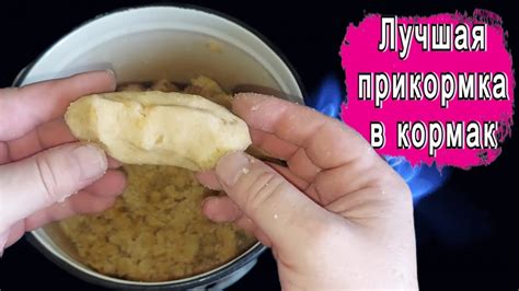 Как быстро приготовить гороховую мастырку Мастырка от лучших рыболовов ...